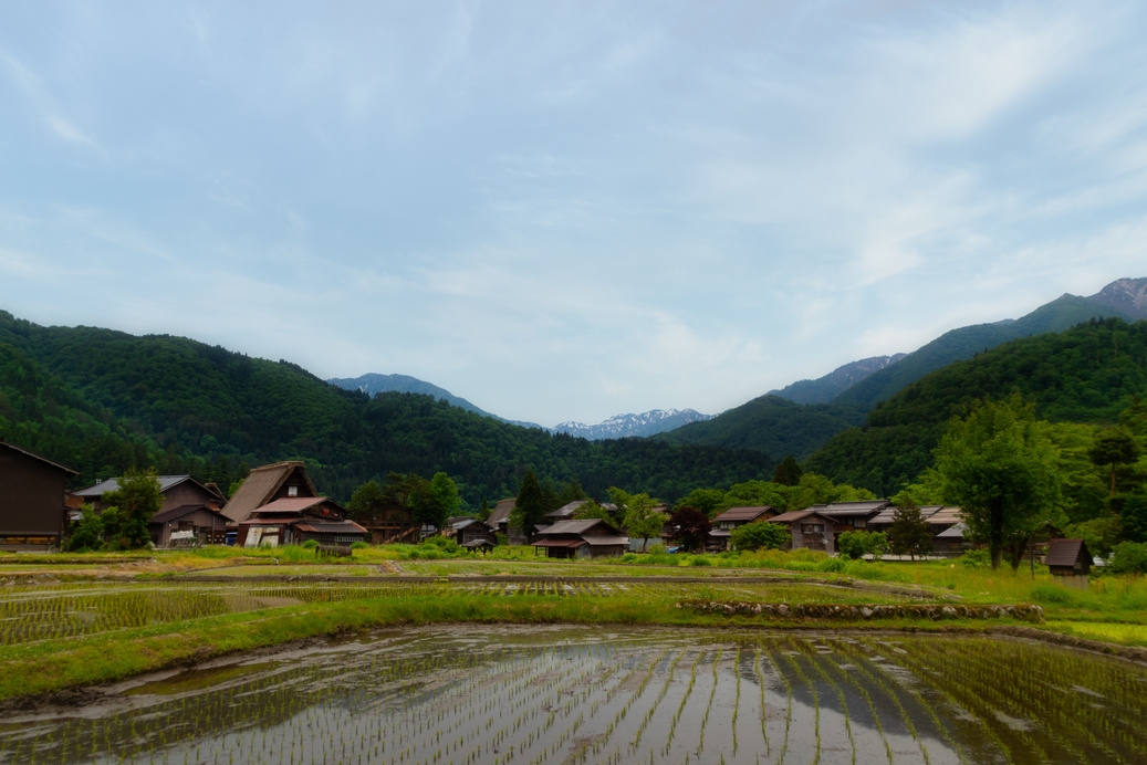 Shirakawago houses, Gifu region, Japan